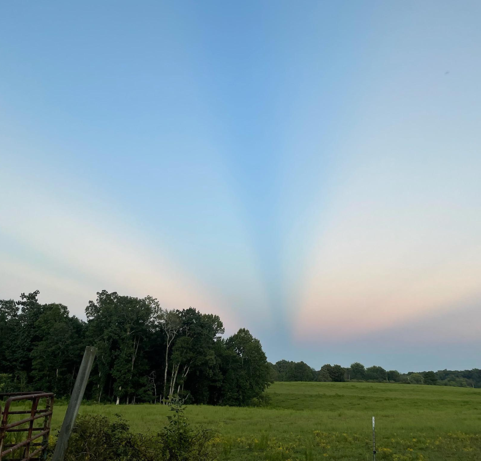 MC website - home hero image (1)